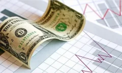 آسیب‌پذیری اقتصادهای در حال توسعه در برابر شوک‌های ارزی