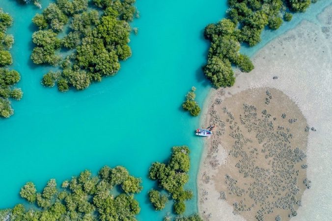 برپایی نمایشگاه سَرزورزوما