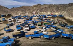 زخم عمیق قاچاق سوخت بر اقتصاد کشور