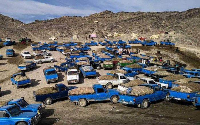 زخم عمیق قاچاق سوخت بر اقتصاد کشور