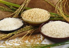 پیش بینی ۷۱ میلیارد تومان اعتبار برای اجرای جهش تولید برنج